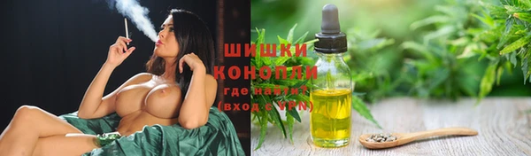 гашик Ладушкин