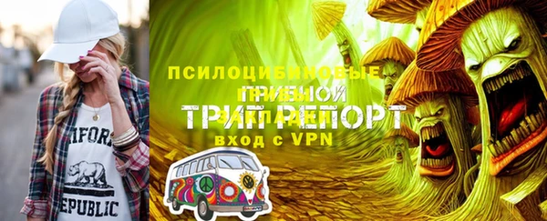 PSILOCYBIN Лагань