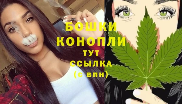 PSILOCYBIN Лагань