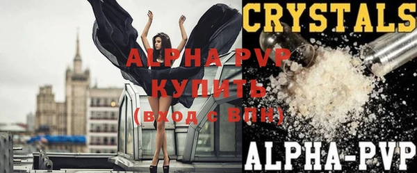 гашик Ладушкин