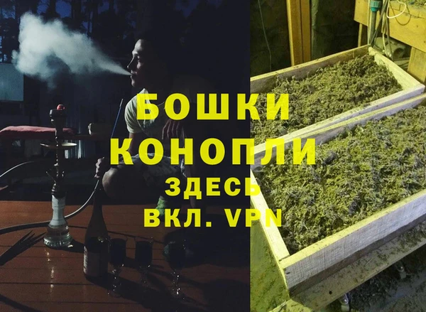 гашик Ладушкин